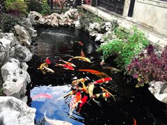 -金海华·华宴江南(斜塘店)