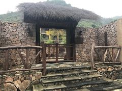 -看见远方·莫干遥远的山民宿