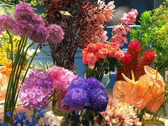 -BEAST野兽派(上海浦东嘉里城店)