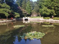 -庐山风景区花径公园