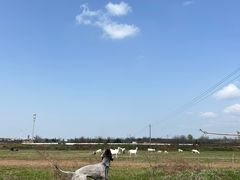-白鹿原·白鹿仓