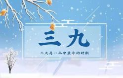 -安吉拉青春化管理中心