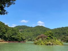 -广州白江湖森林公园