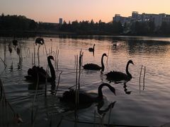 -江南大学(蠡湖校区)