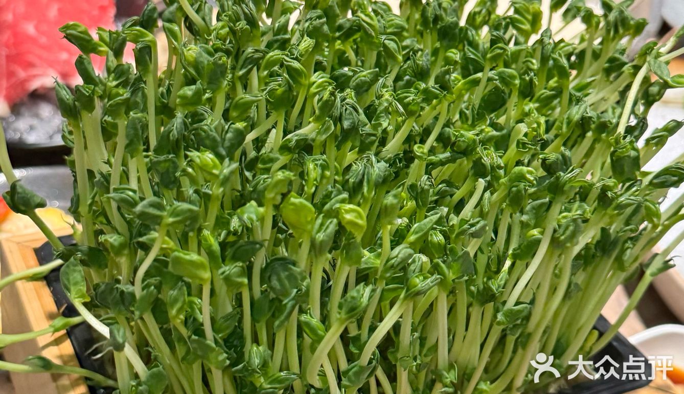 wccc?!苏州居然有了!!