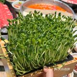 wccc?!苏州居然有了!!