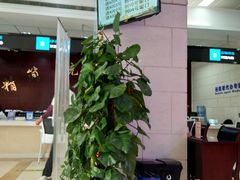 -市民服务中心大楼