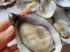 今日新到Elgance生蚝-Oyster Talks 四度蚝法餐厅