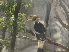 -武汉动物园