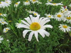 -上海植物园-4号门售票处