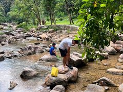 -广州白江湖森林公园