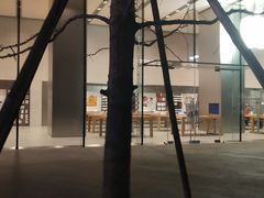 -Apple零售店(华贸购物中心店)