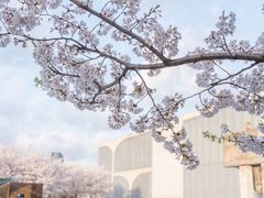 -龙美术馆西岸馆-停车场