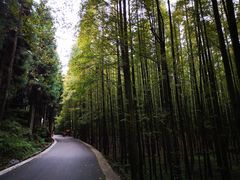 -山王坪喀斯特国家生态公园