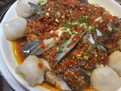 清蒸翘嘴鱼-醉美东江·三文鱼