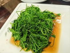 -协和菜馆(凤凰街店)