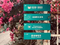 -默迹咖啡馆