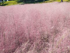 -钟山体育运动公园
