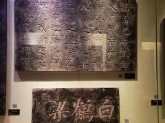 -白鹤梁水下博物馆