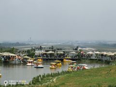 -空港花田景区