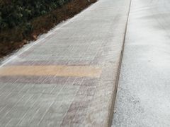 -山东外贸职业学院