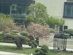 -阿纳迪酒店·悦餐厅