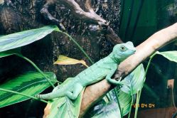 -酷嗒动物文化乐园(cutezoo西溪乐天城店)