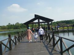 -溱湖国家湿地公园