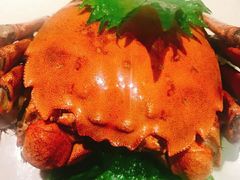 -苏帮袁Sue Cuisine(将台店)