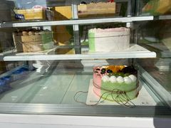 -维尔纳斯·生日蛋糕动物奶油冰淇淋蛋糕(人大店)