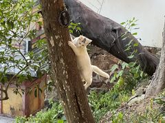 -狼山风景名胜区