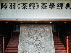 -大唐贡茶院