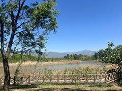 -野鸭湖国家湿地公园