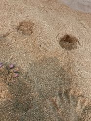 -敖东酵素·离子暖房
