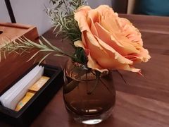 -觅唐MITONG(鸟巢店)