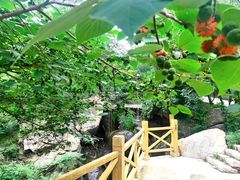 -封龙山风景区