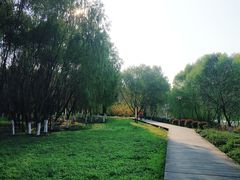 -长广溪湿地公园