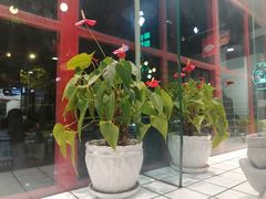 -蛙一刀·麻椒鱼火锅(金仙桥店)