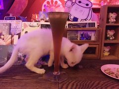 -星宿秘码(鼓浪屿老店)