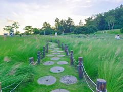 -红花山公园