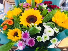 -秦美花卉(天朗·莱茵小城2期店)