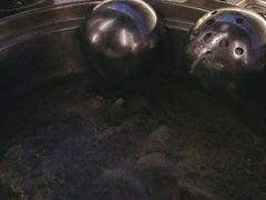 -润园四季椰子鸡火锅(海上世界店)