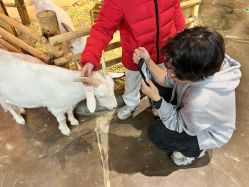 -Zoolung Zoolung动物主题公园(海信广场店)