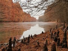 -上海海湾国家森林公园