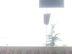-东方熊牧场