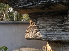 -南京古林公园