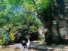 -山王坪喀斯特国家生态公园