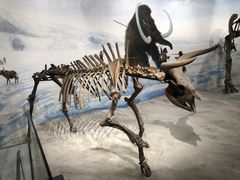 -辽宁古生物博物馆