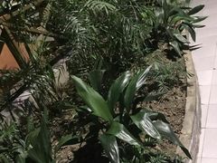 -森谷美食公园(杨行店)