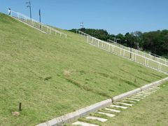 -佛手湖郊野公园